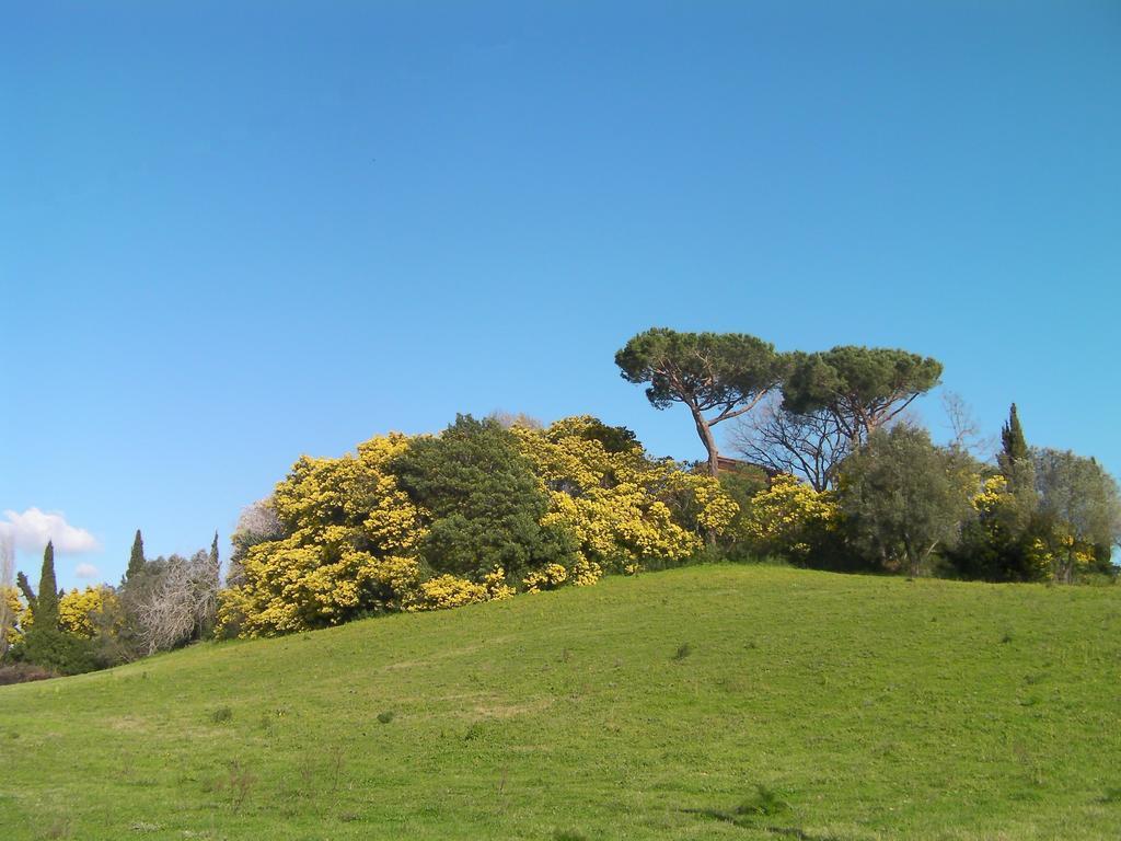 לינה וארוחת בוקר צ'רבטרי Casale Del Tiglio חדר תמונה